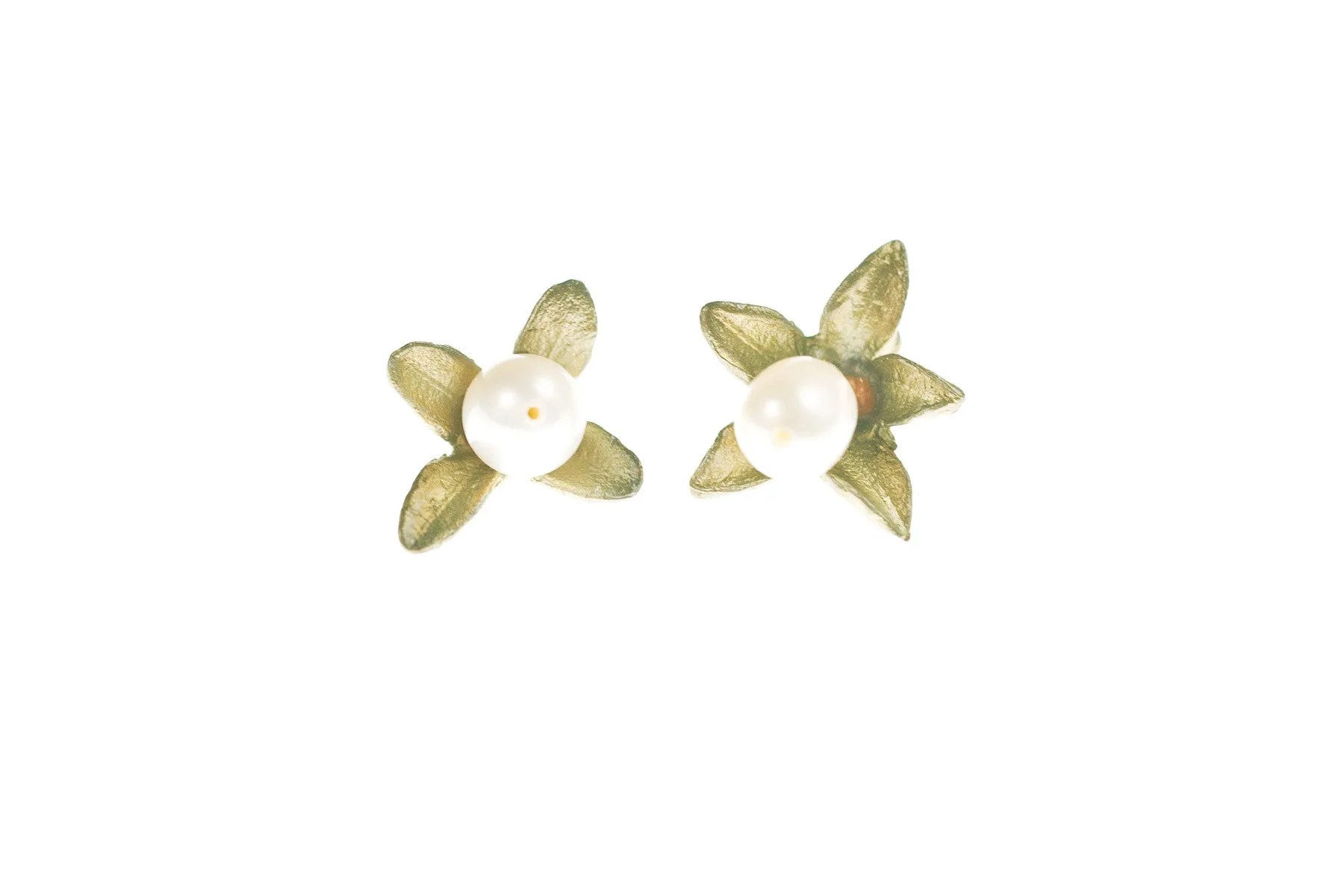 Boxwood Post Earrings