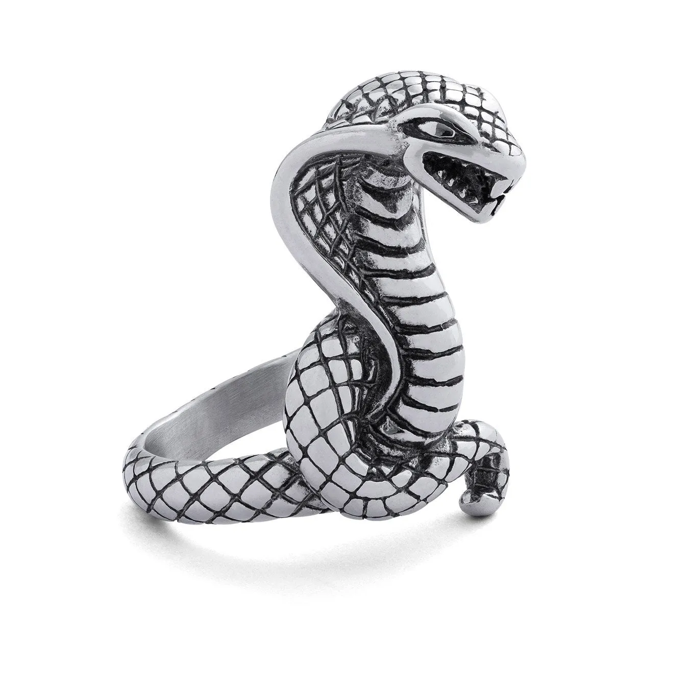 King Cobra Ring