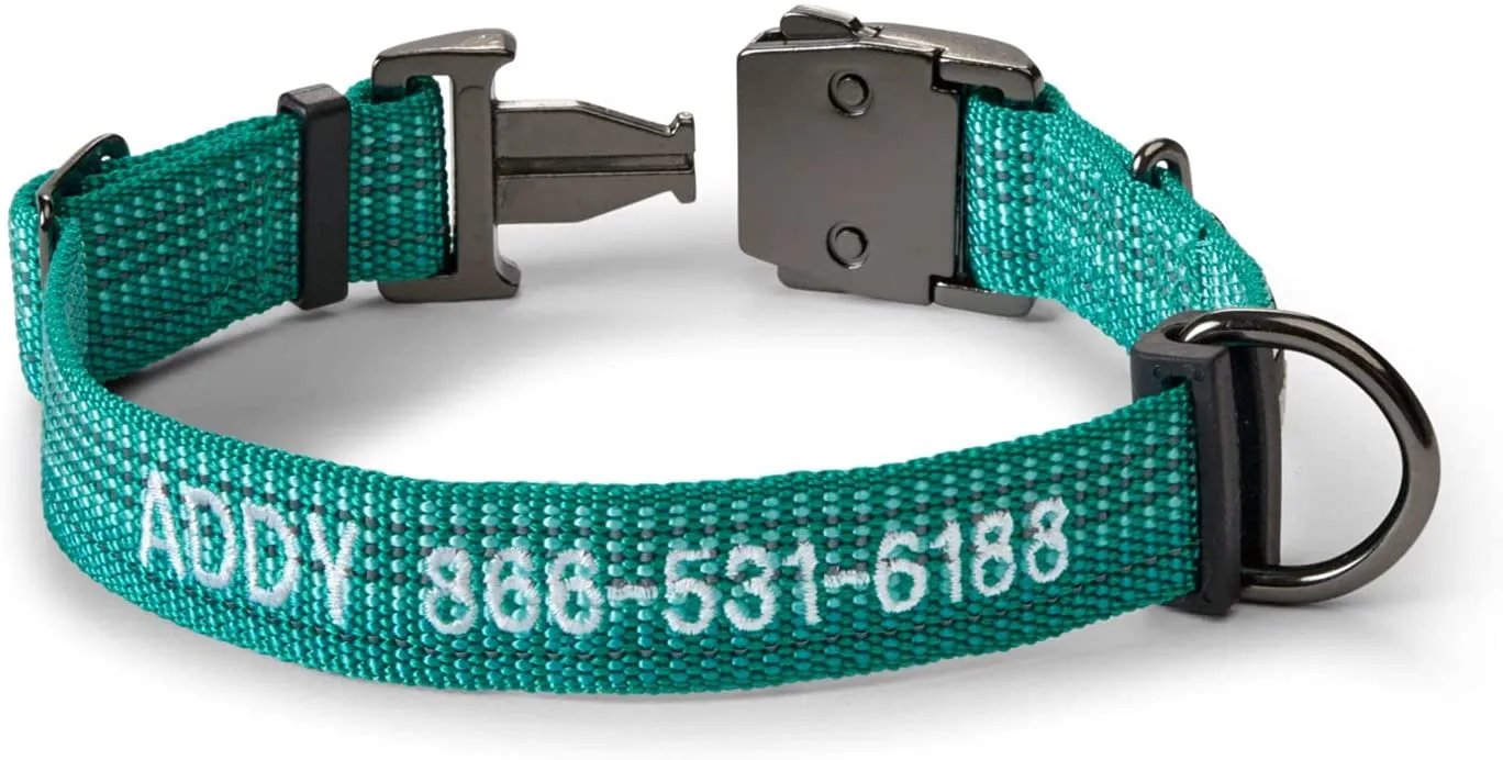 Orvis Tough Trail Dog Collar