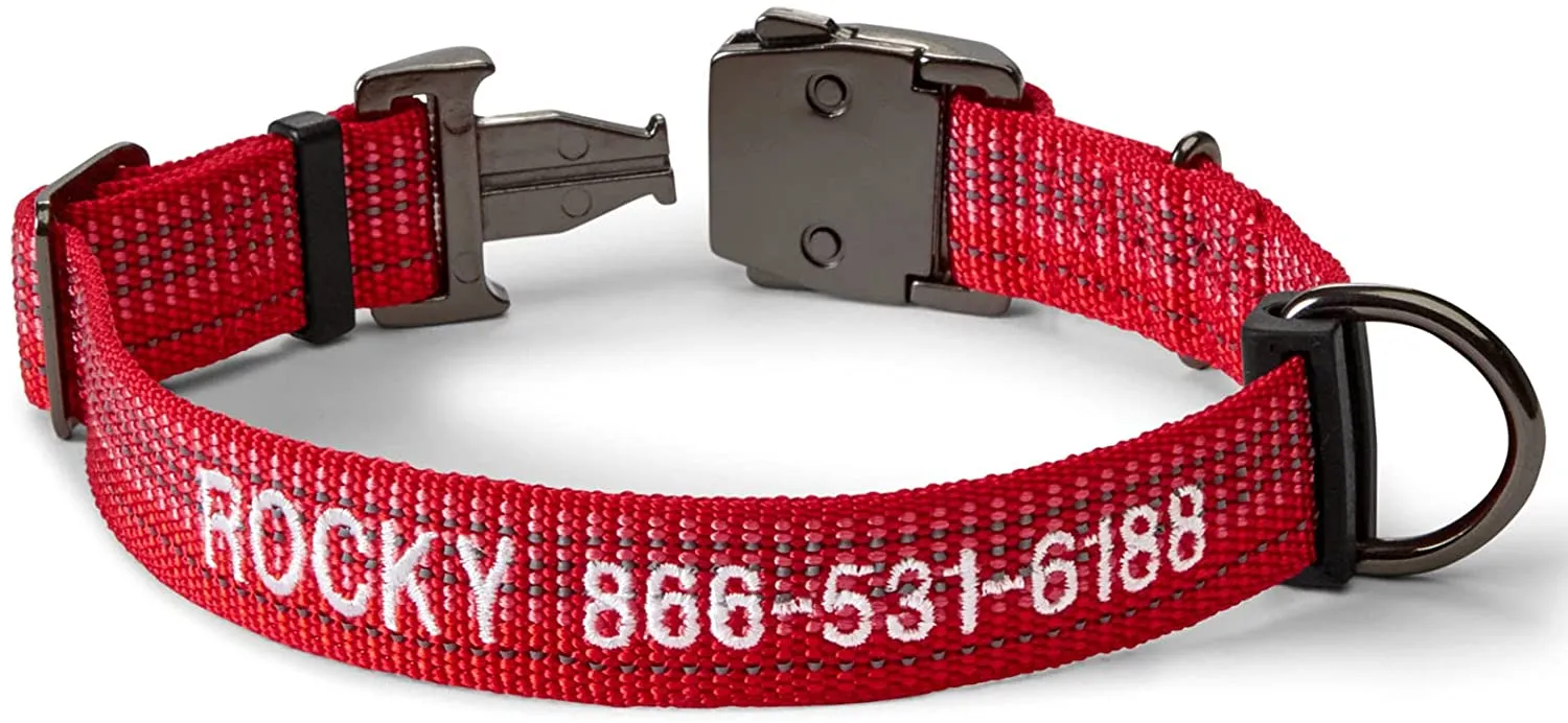 Orvis Tough Trail Dog Collar