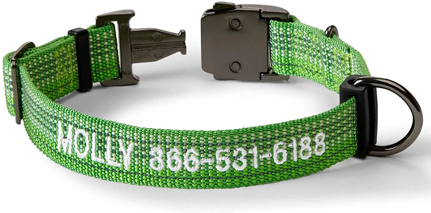 Orvis Tough Trail Dog Collar