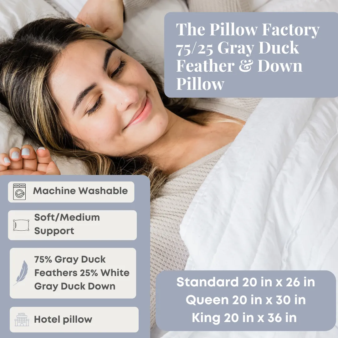 The Pillow Factory 75/25 Gray Duck Feather & Down Pillow